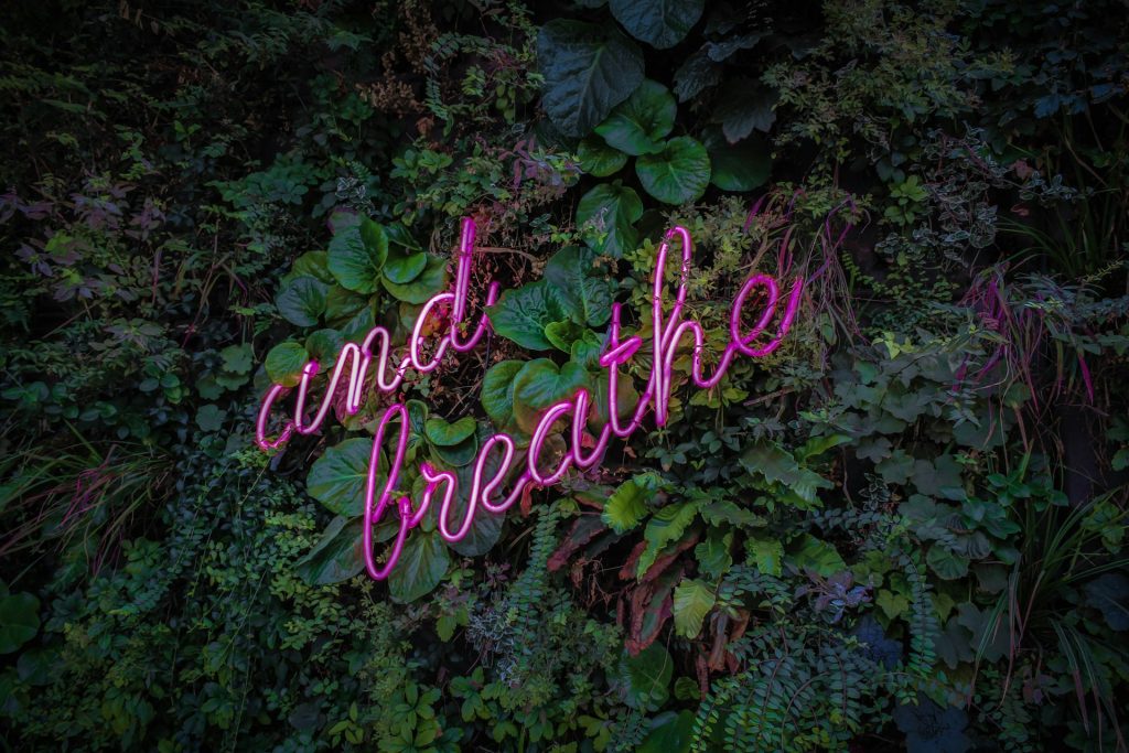 scritta and breathe su sfondo di foglie verdi