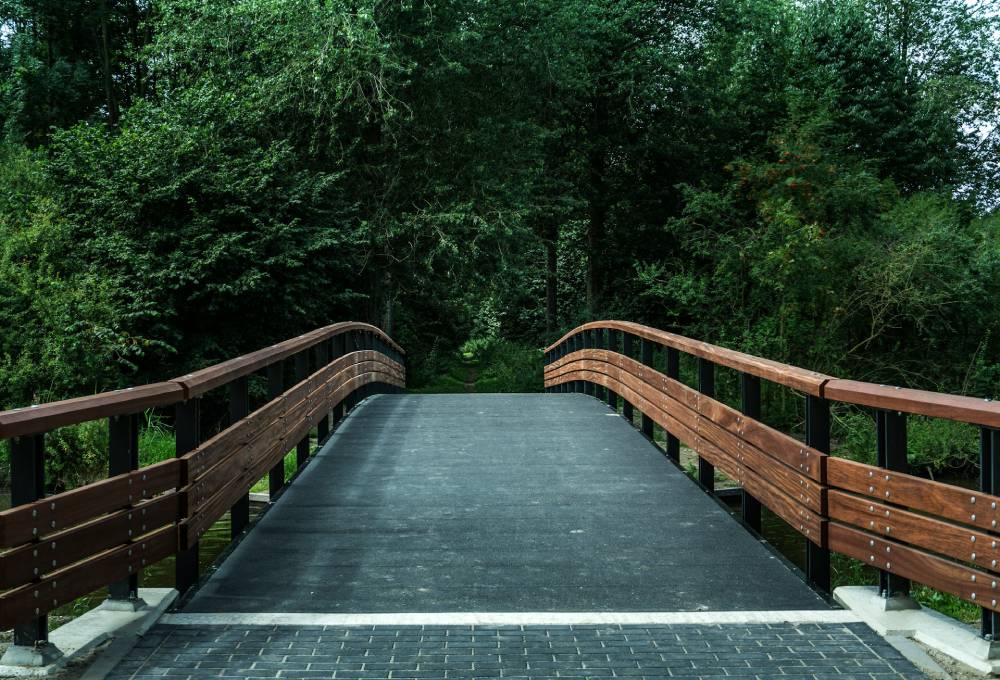 ponte immerso nel verde con corrimano in legno